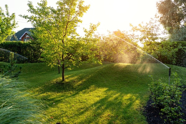 Reliable Backyard Installation Backyard Installation