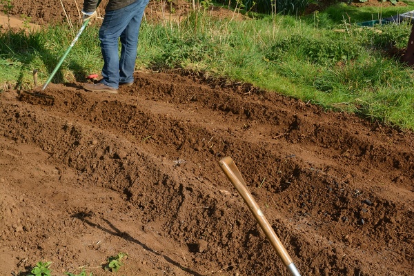Reliable Landscaping Maintenance Landscaping Maintenance