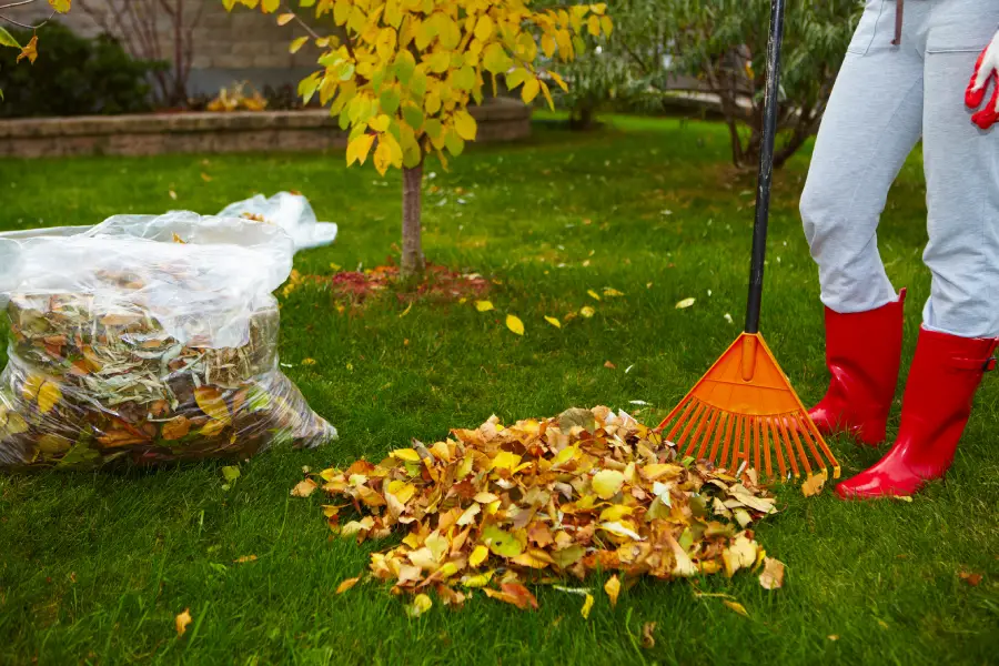 Excellent Yard Cleanup Milton, FL Excellent Yard Cleanup Milton, FL