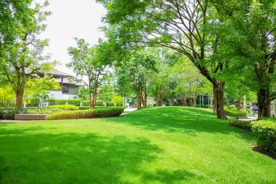 How Lawn Maintenance Enhances Curb Appeal For Homes Milton, FL How Lawn Maintenance Enhances Curb Appeal For Homes Milton, FL