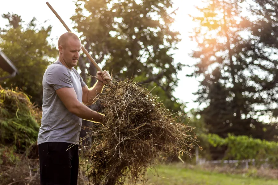 How Yard Cleanup Helps Prevent Pest Problems in Milton, FL How Yard Cleanup Helps Prevent Pest Problems in Milton, FL