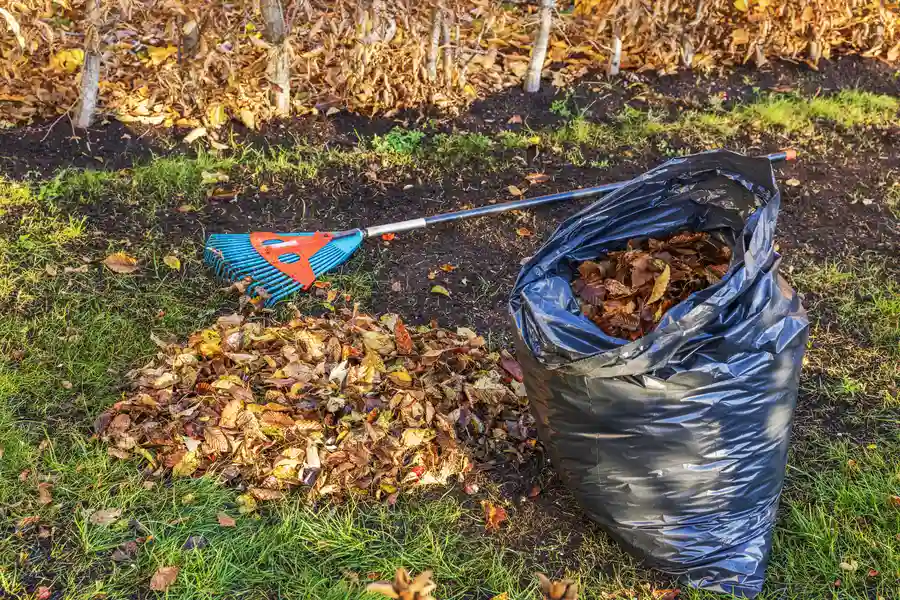 Premium Yard Cleanup Milton, FL Premium Yard Cleanup Milton, FL