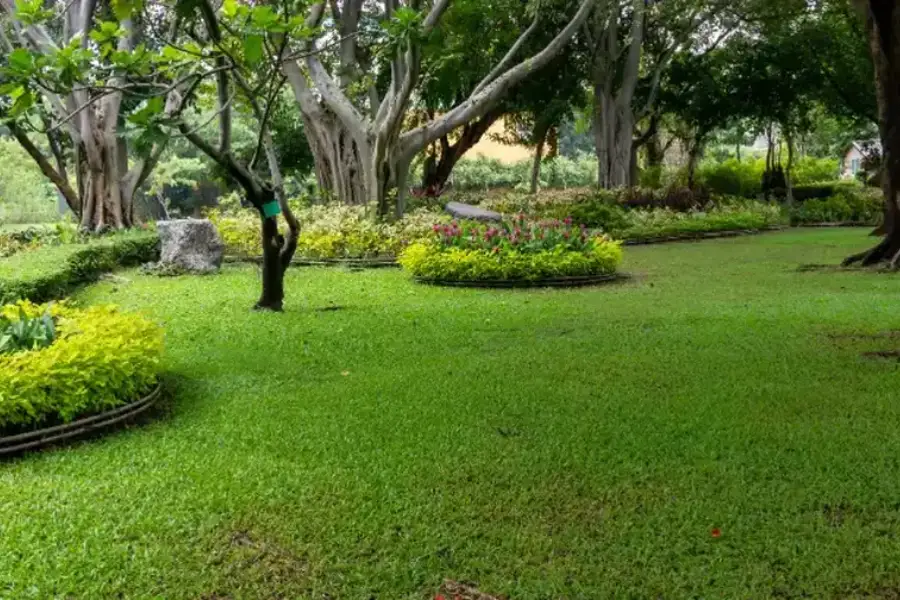 Preparing Your Lawn For Changing Weather Conditions Milton, FL Preparing Your Lawn For Changing Weather Conditions Milton, FL
