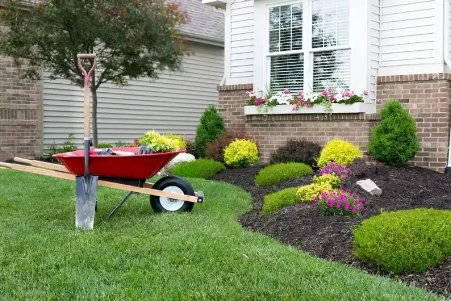 Professional Landscape Contractor in Milton, FL Professional Landscape Contractor in Milton, FL