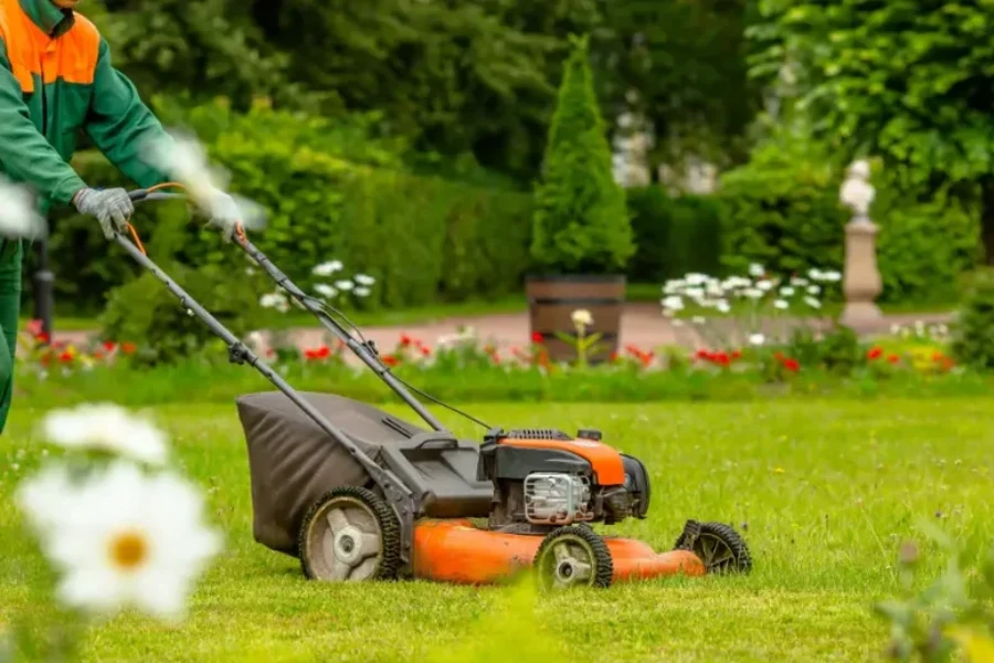 Professional Lawn Maintenance Milton, FL Professional Lawn Maintenance Milton, FL
