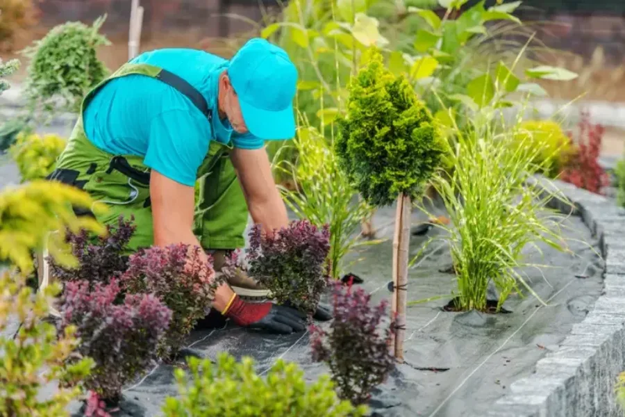 Reputable Lawn Maintenance Milton, FL Reputable Lawn Maintenance Milton, FL
