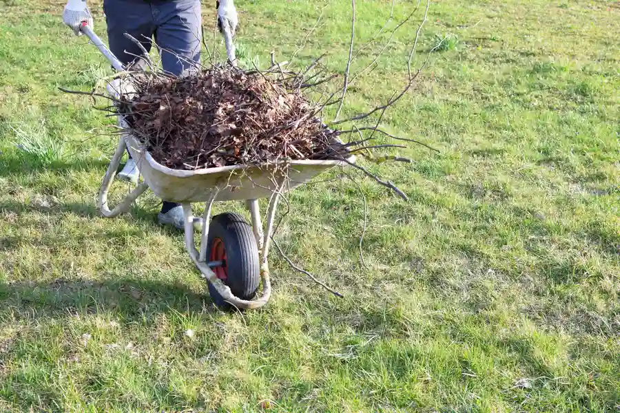 What To Expect From A Professional Yard Cleanup Milton, FL What To Expect From A Professional Yard Cleanup Milton, FL