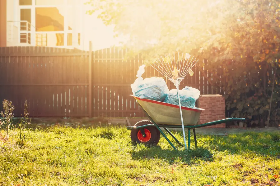 What To Expect From A Professional Yard Cleanup in Milton, FL What To Expect From A Professional Yard Cleanup in Milton, FL